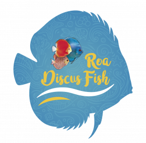 Criador de Peces Ornamentales, Acuicultura de Aguadulce, Ofrece todo lo relacionado con peces, Alimento, medicamentos, acondicionadores, montaje de acuarios.