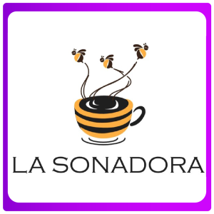 La Sonadora_Mesa de trabajo 1